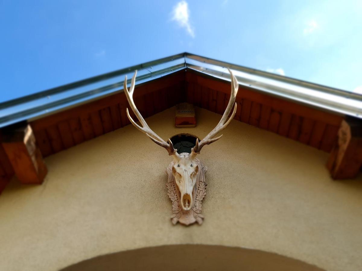 Ferienwohnung Landhaus Steirerengel - Ferien&Jagd Lócs Exterior foto