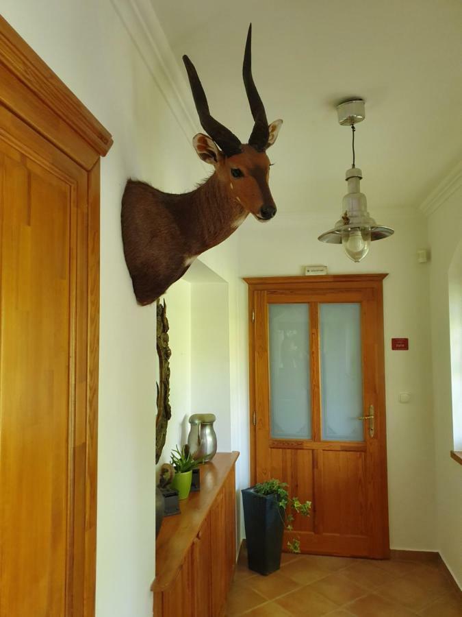 Ferienwohnung Landhaus Steirerengel - Ferien&Jagd Lócs Exterior foto